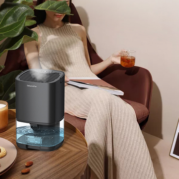 Portable Dehumidifier for Air Filter